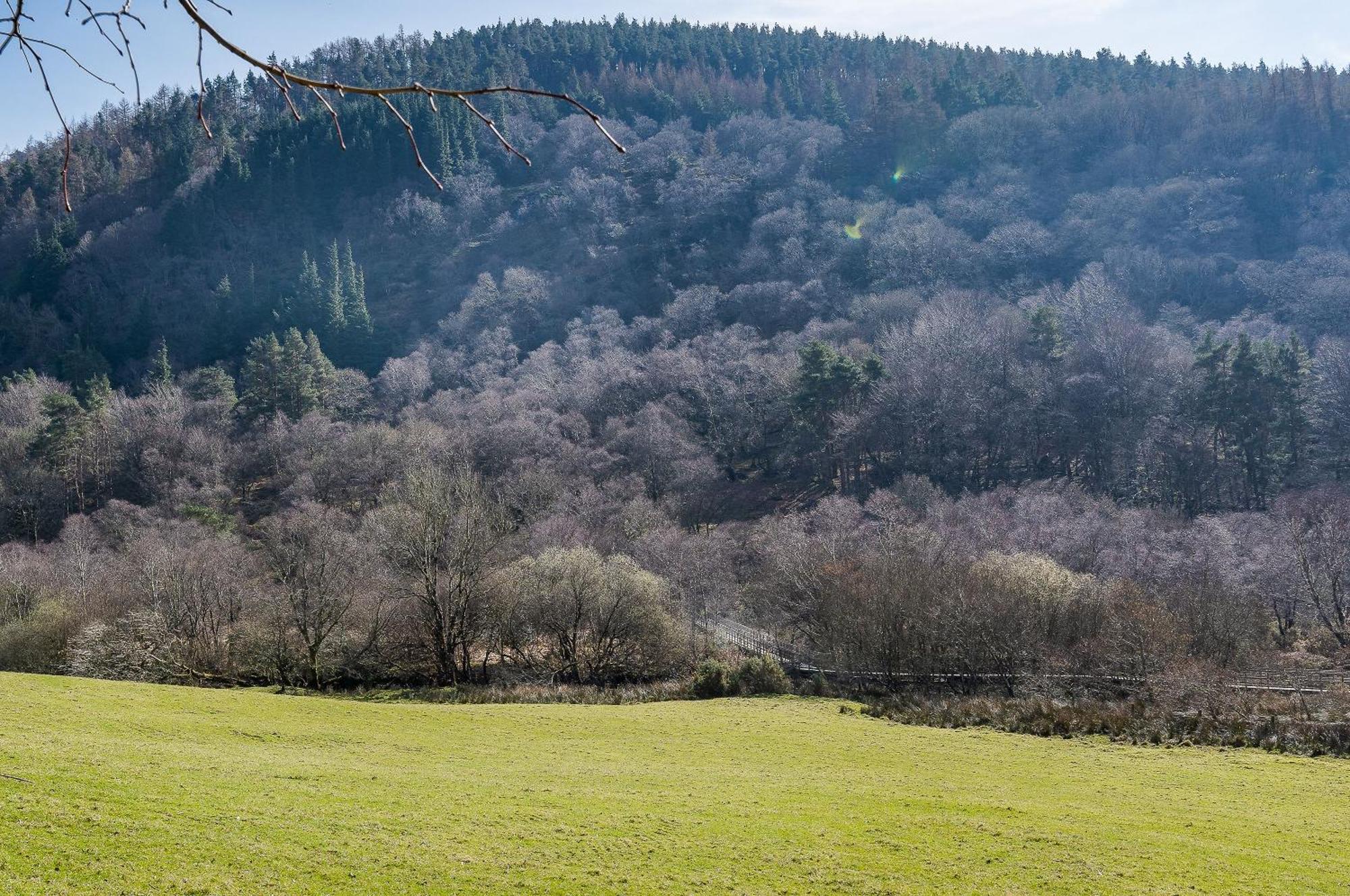 Glendalough International Youth Hostel Laragh Exterior photo